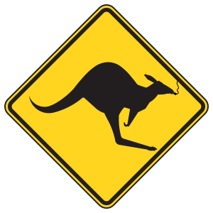 Smoking Kangaroo